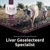 LIVA_Livar Geselecteerd Specialist_social post.jpg